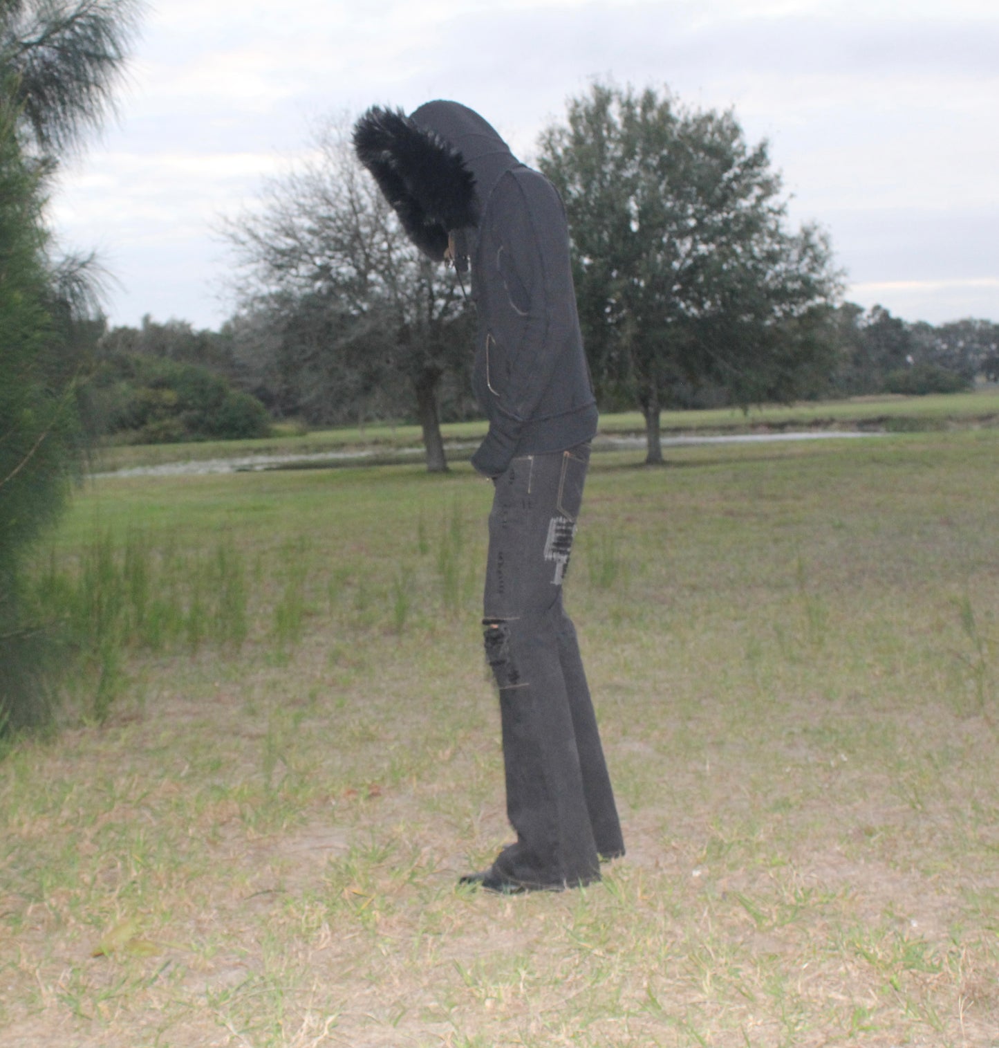 Crow Denim